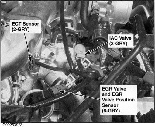 G00263973