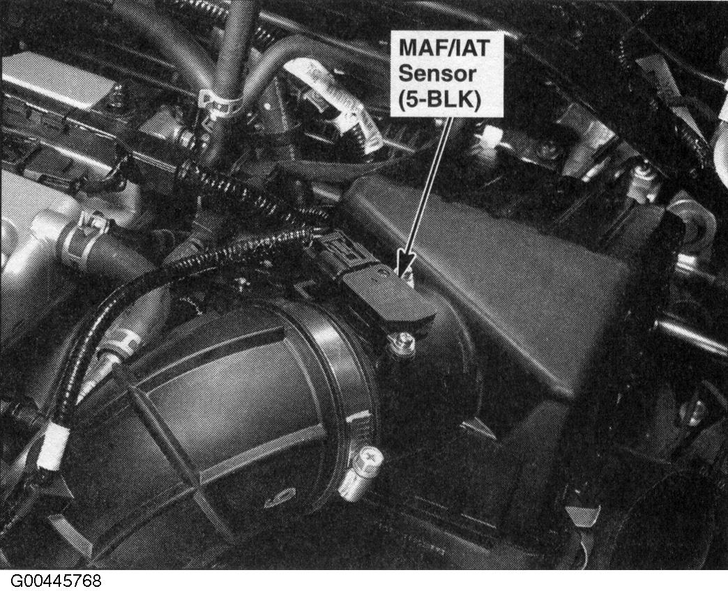 G00445768