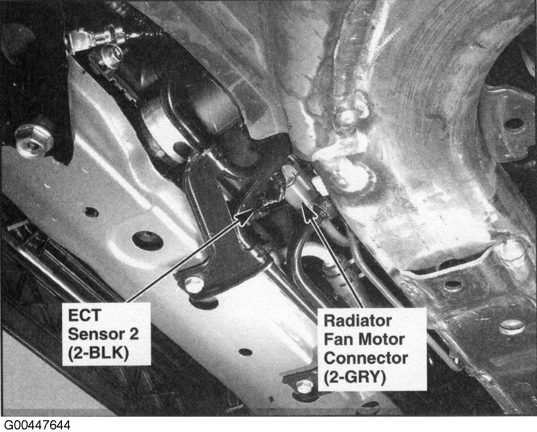 G00447644