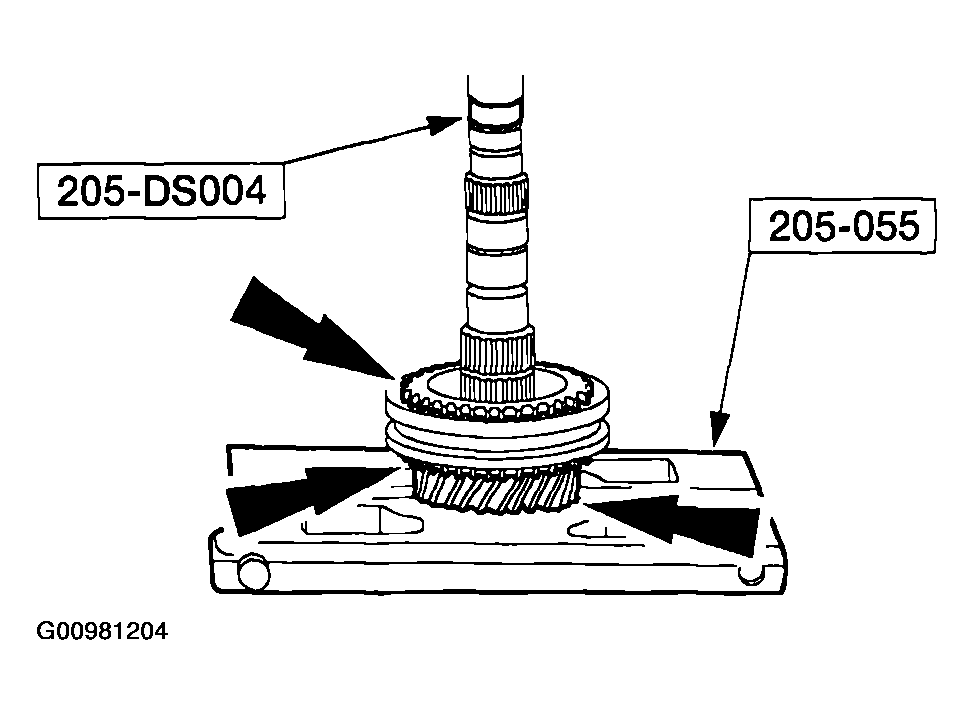 G00981204