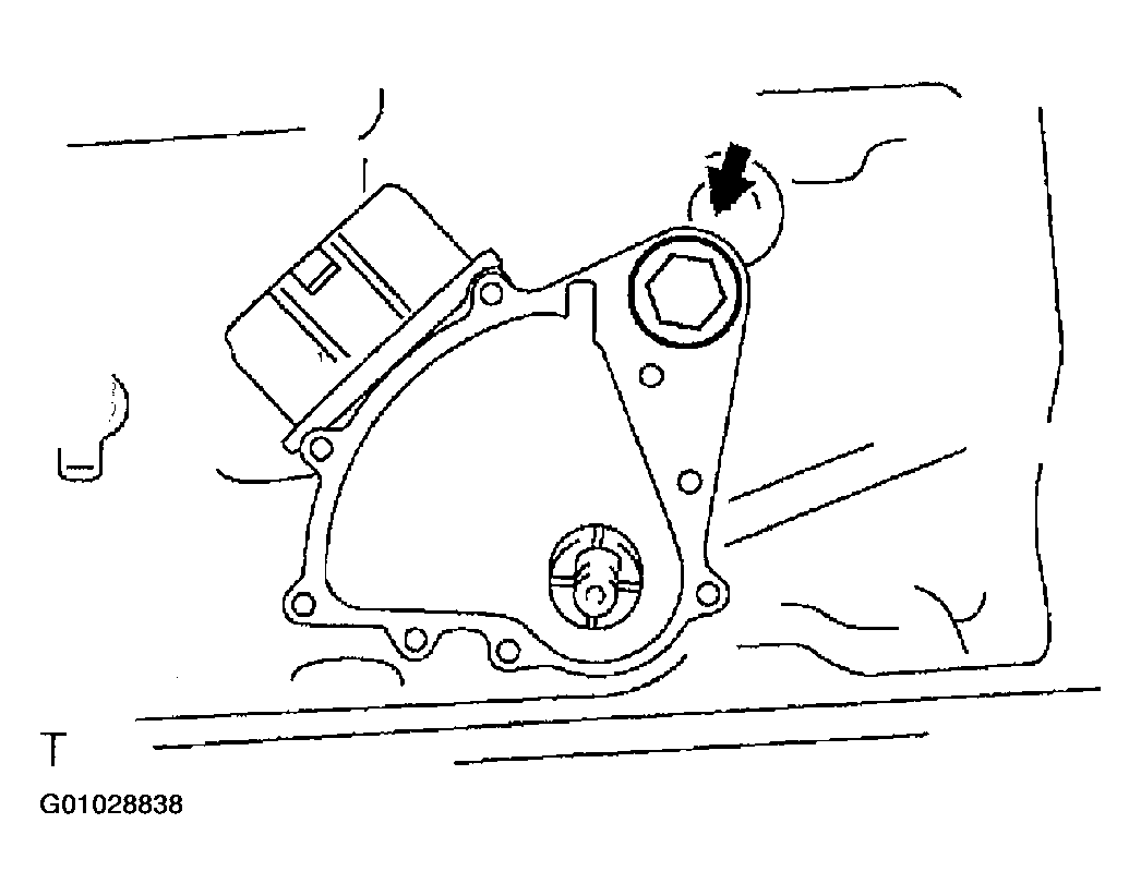G01028838