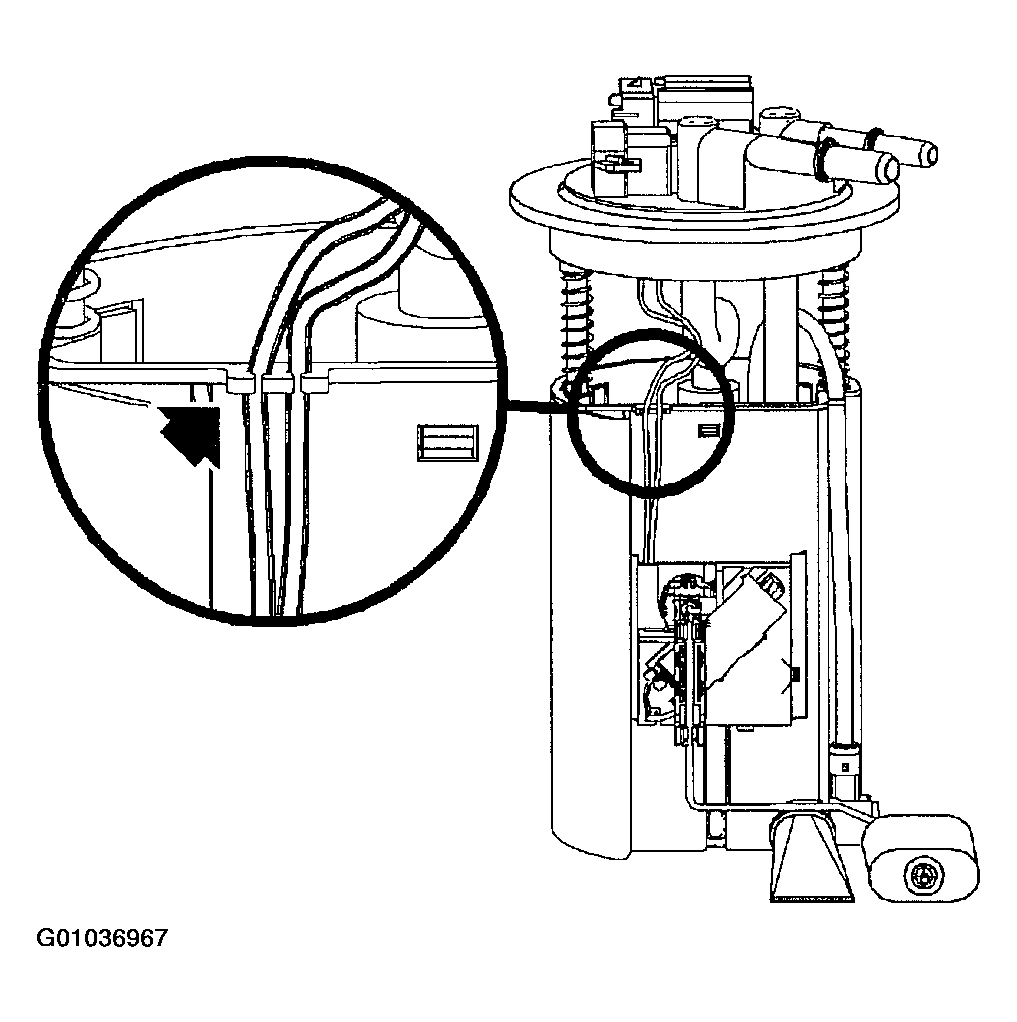 G01036967