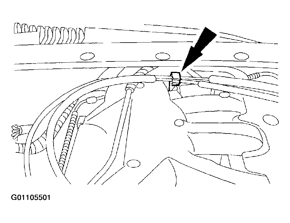 G01105501