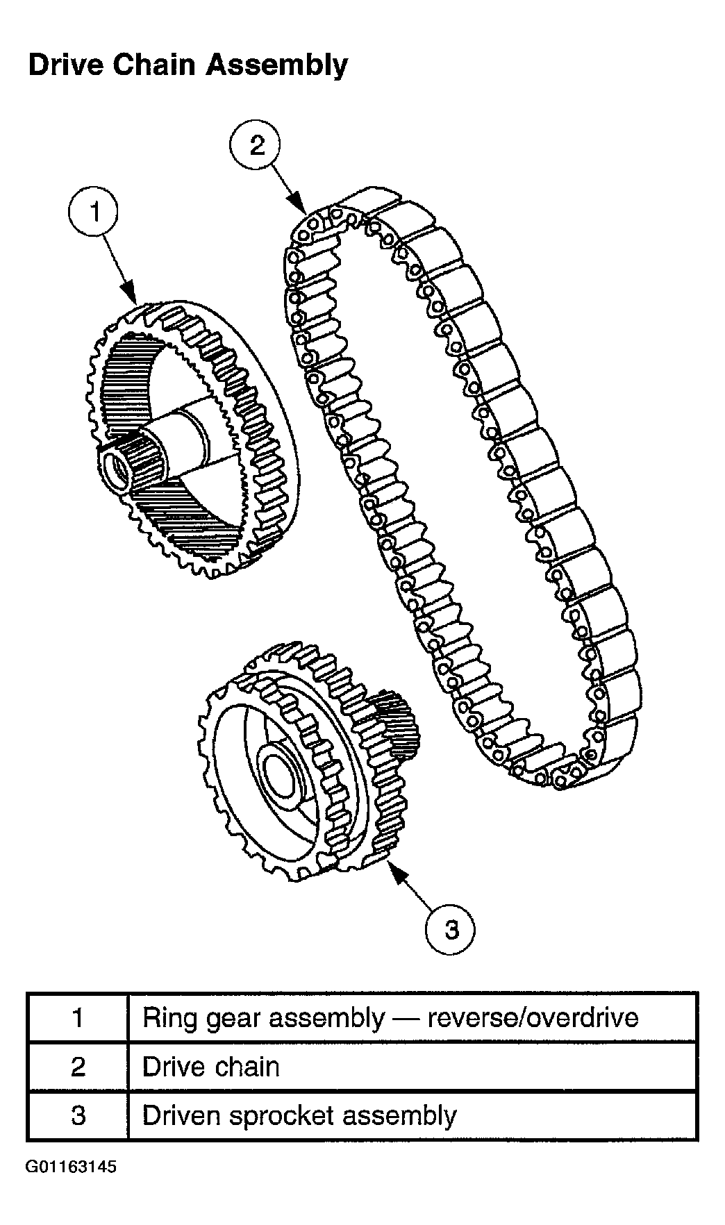 G01163145