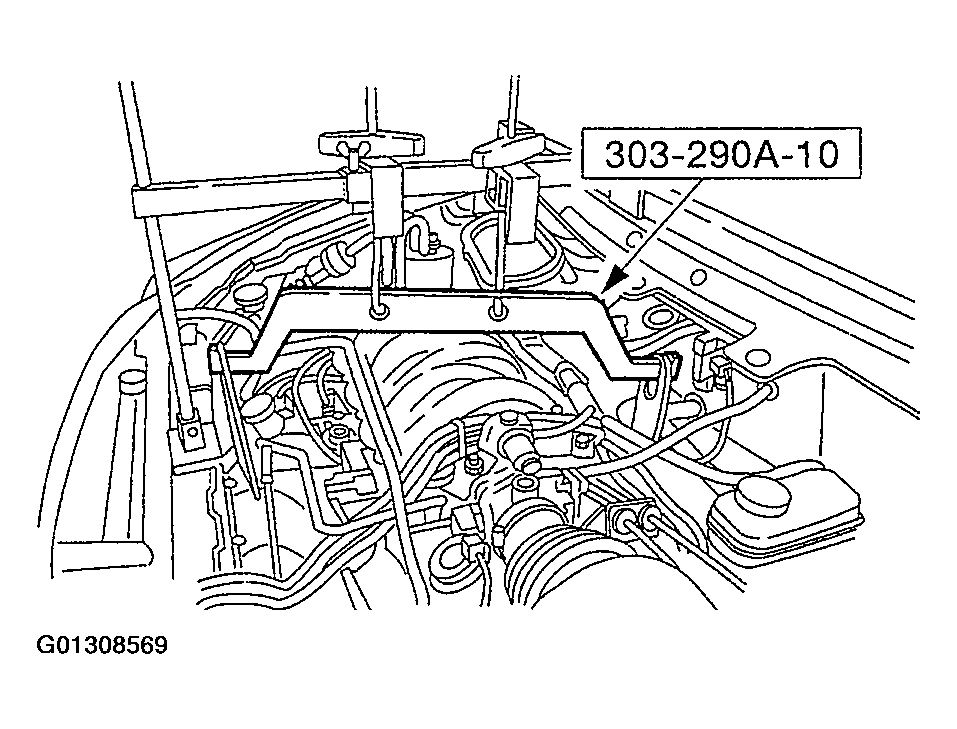 G01308569