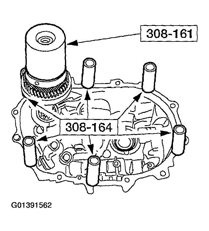 G01391562