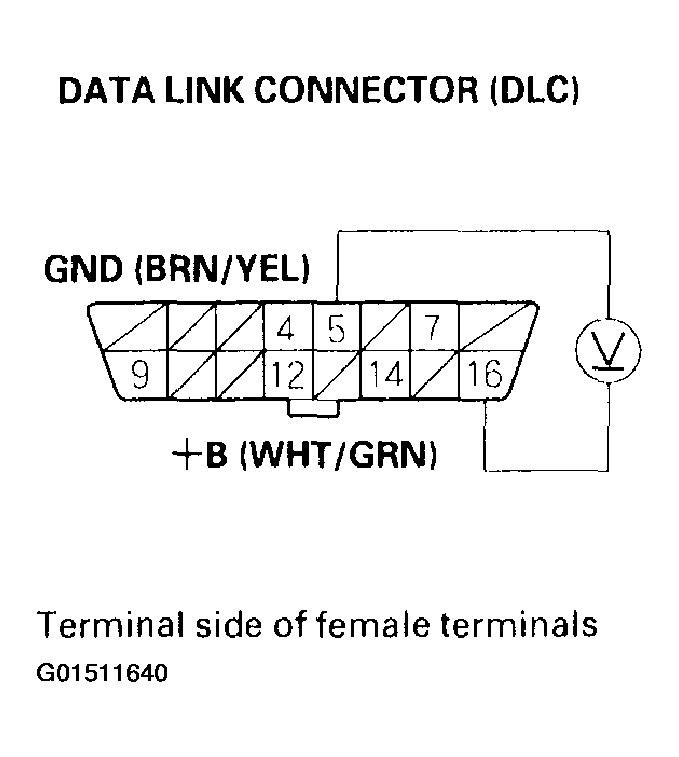 G01511640