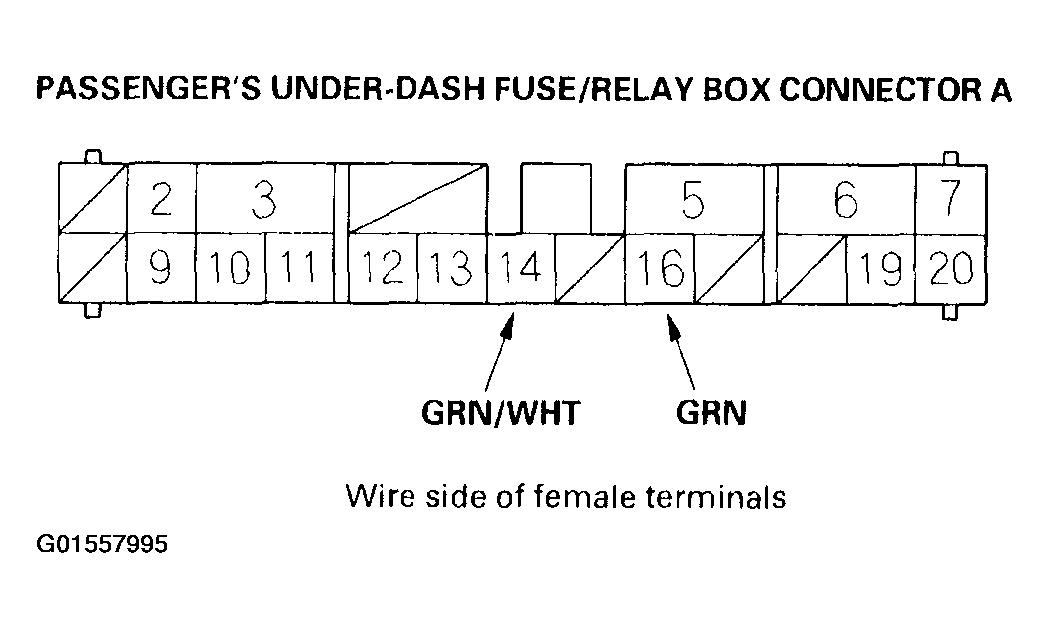 G01557995