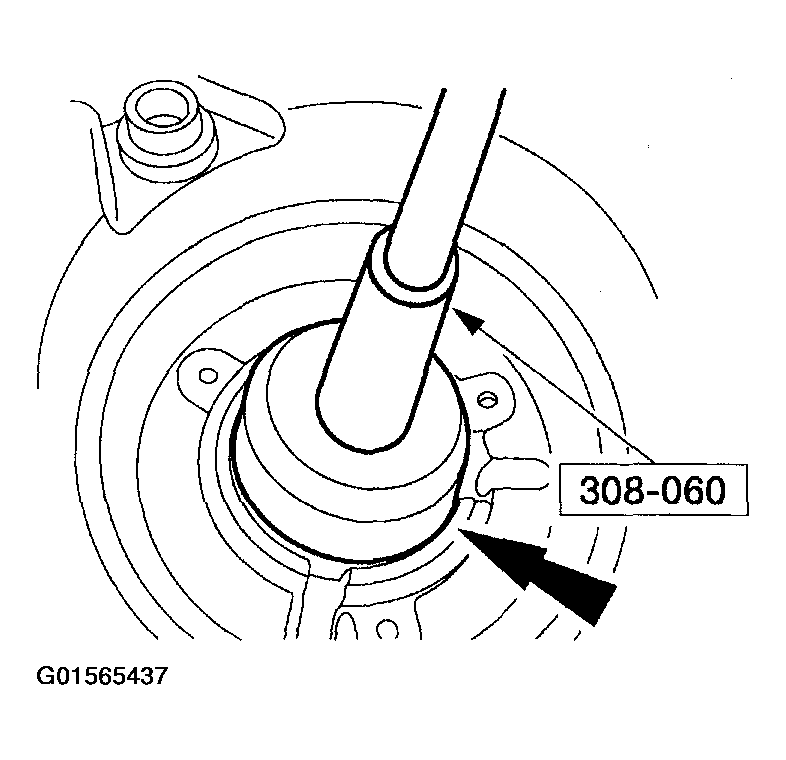 G01565437