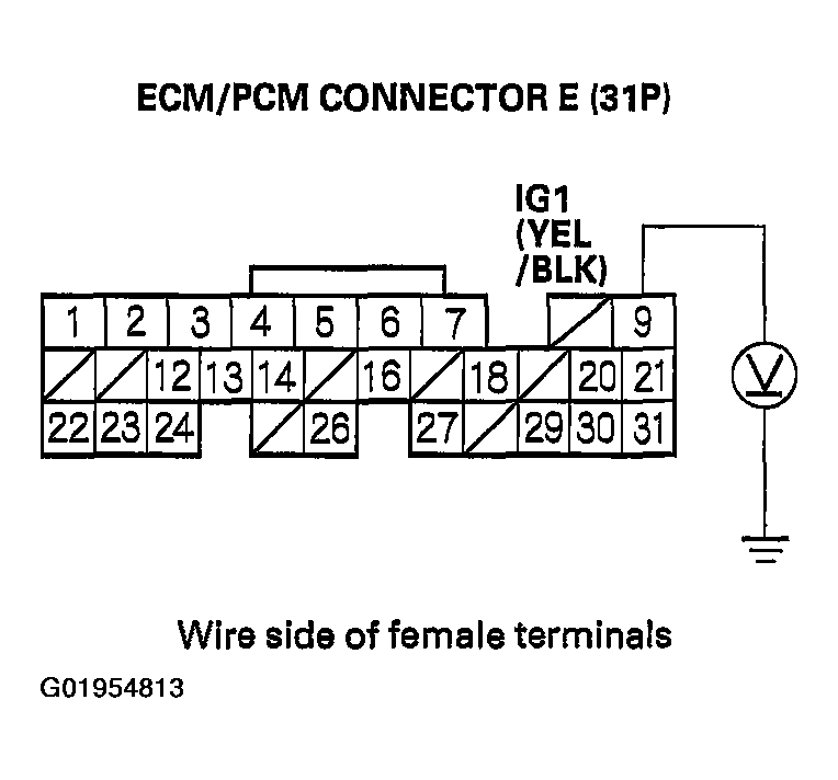 G01954813