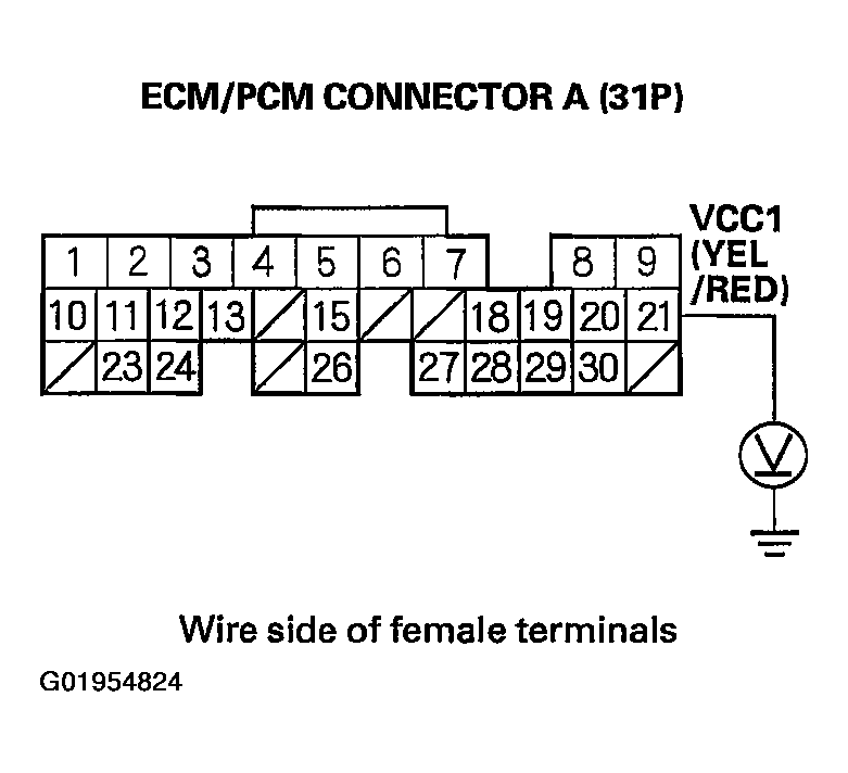 G01954824