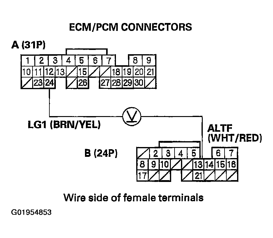 G01954853