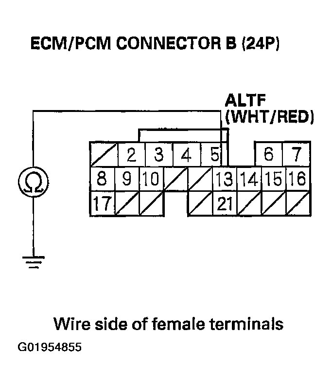 G01954855