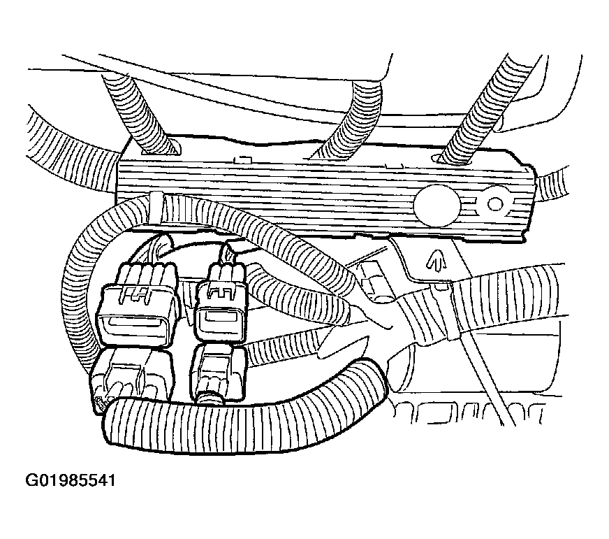 G01985541