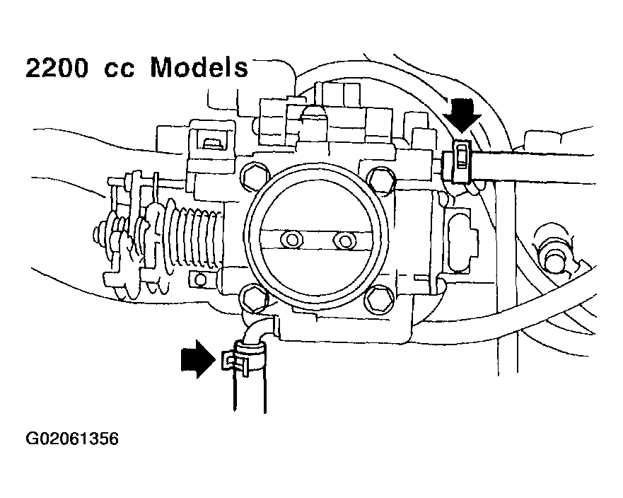 G02061356
