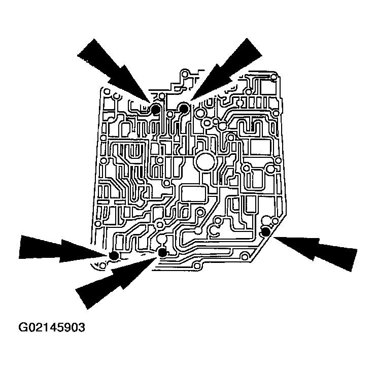 G02145903