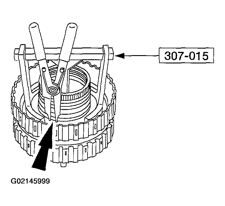 G02145999