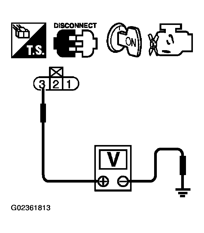 G02361813