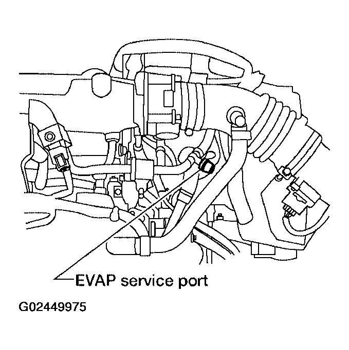 G02449975