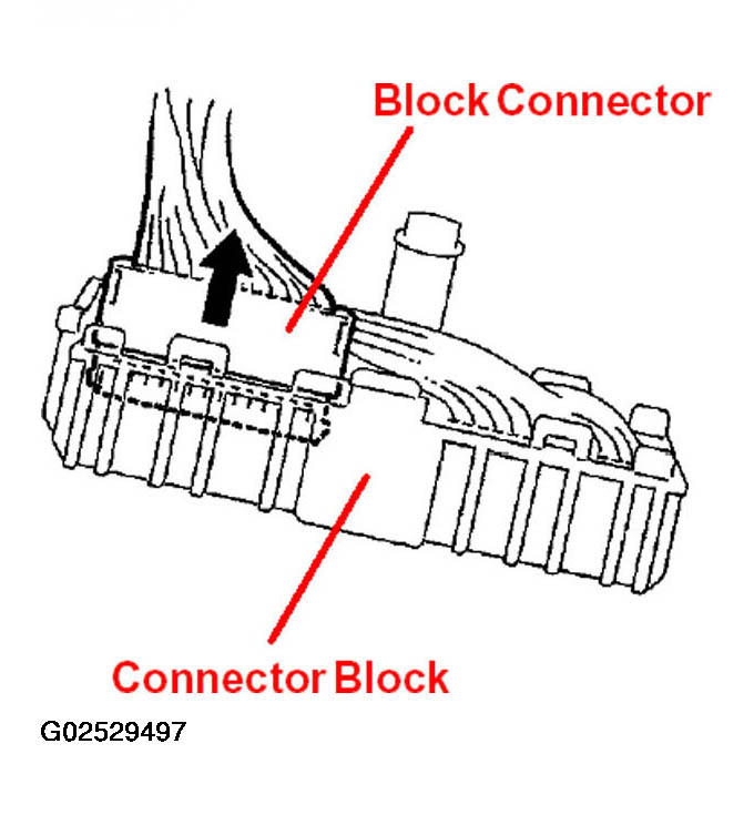 G02529497