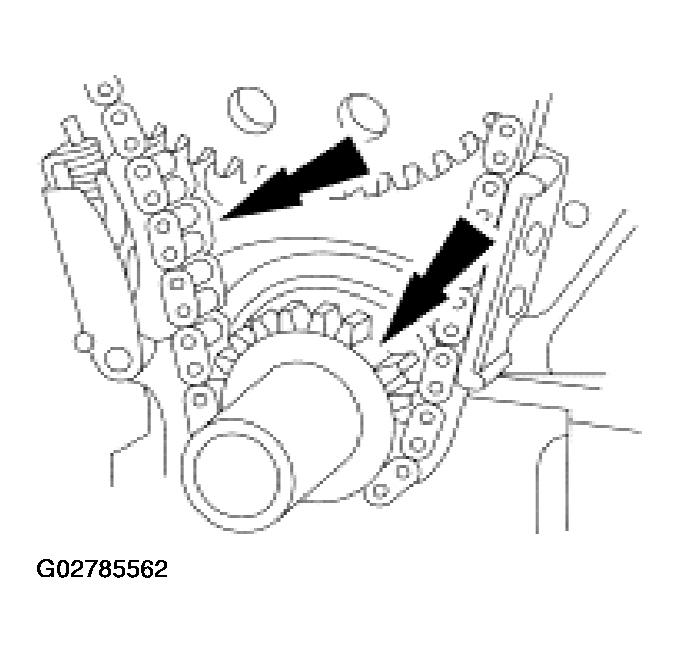 G02785562