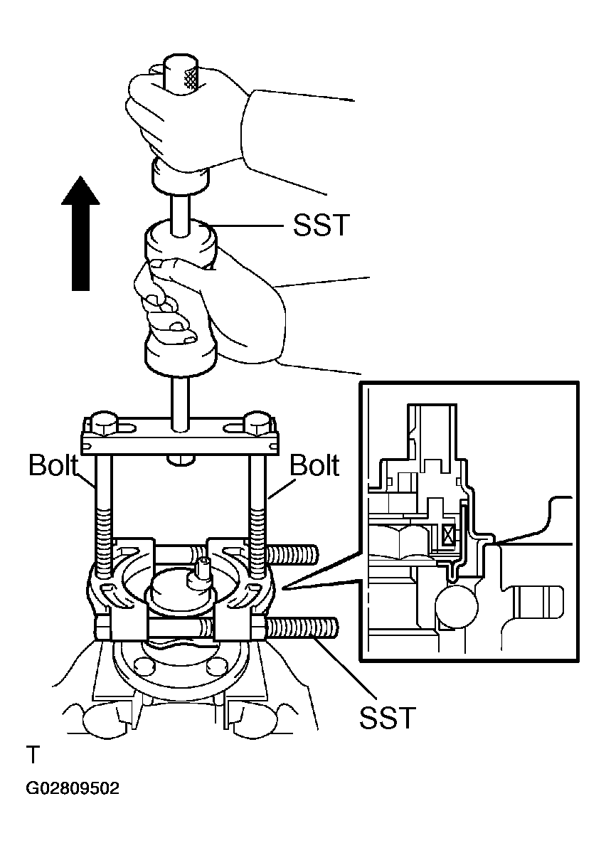 G02809502