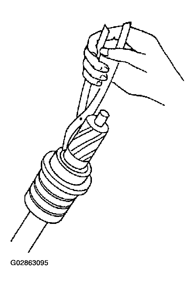 G02863095