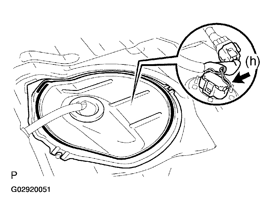 G02920051