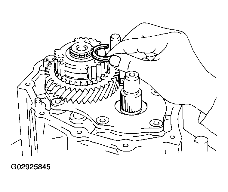 G02925845