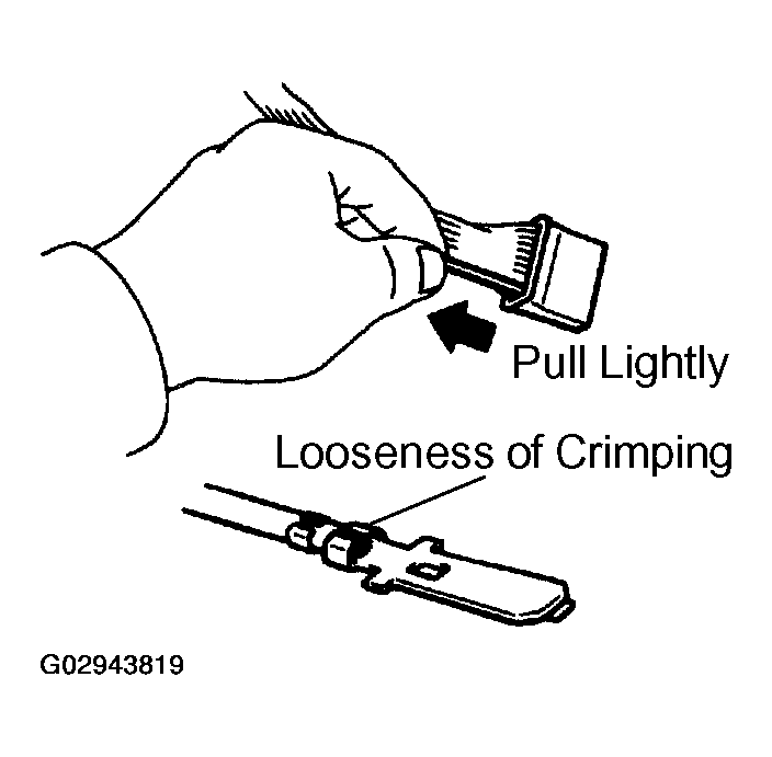G02943819