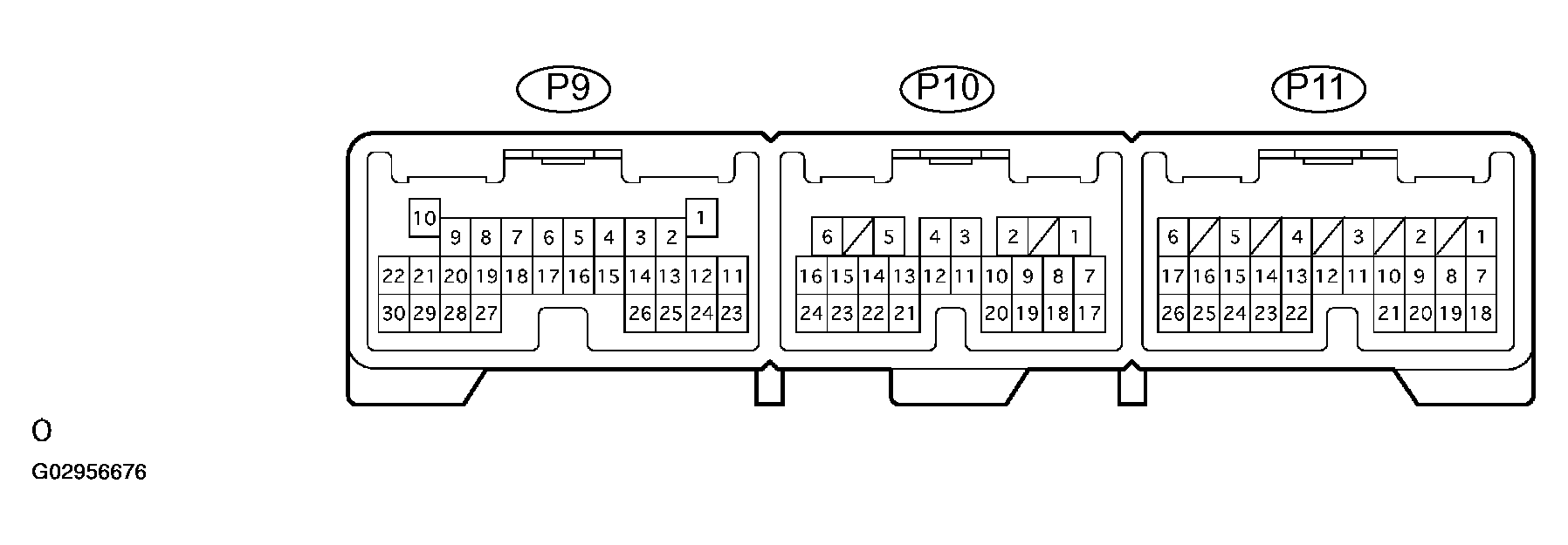 G02956676