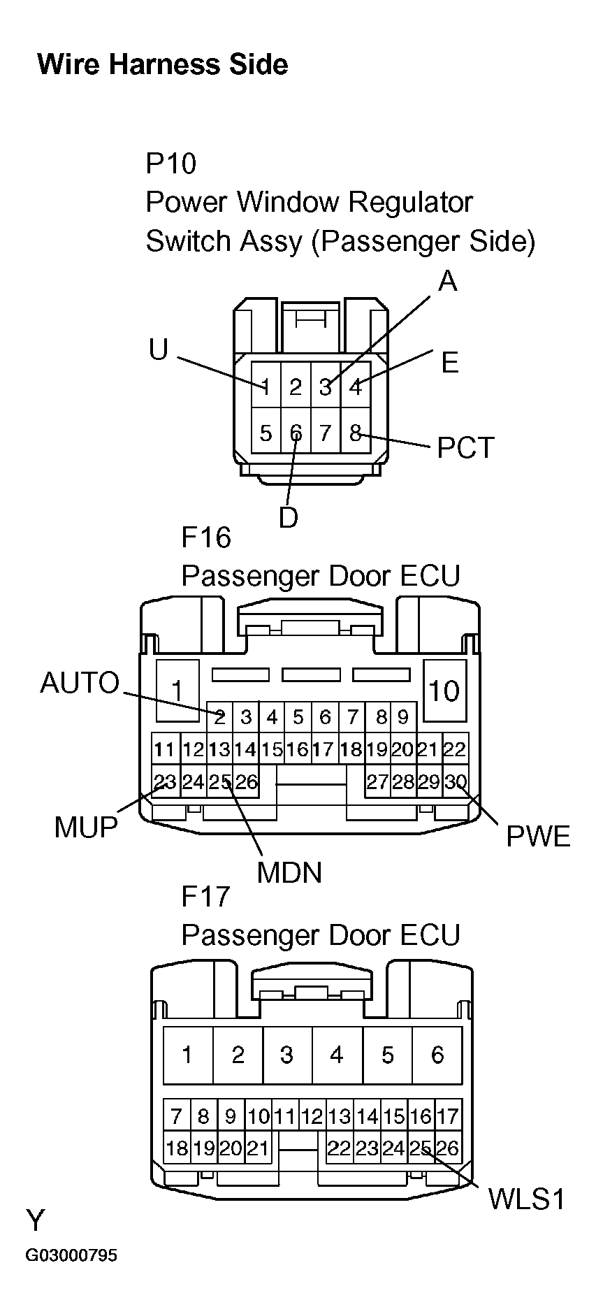 G03000795