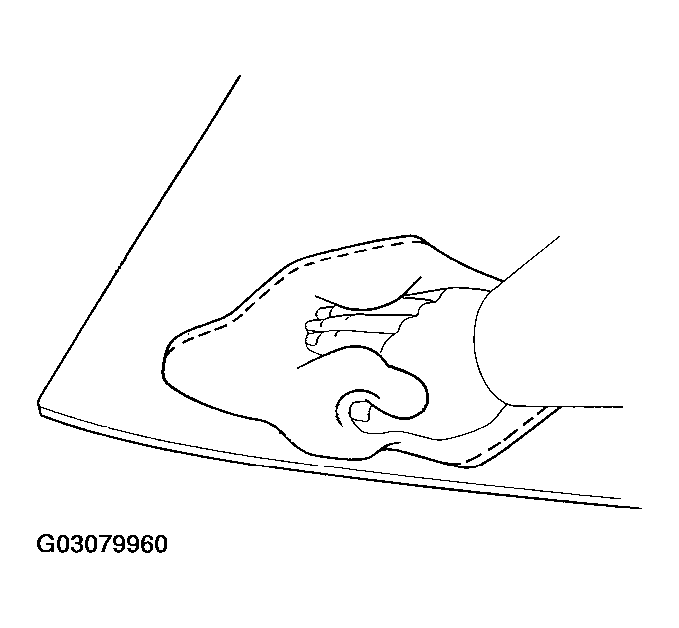 G03079960