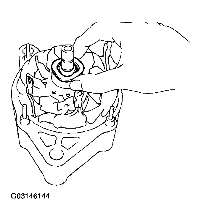 G03146144