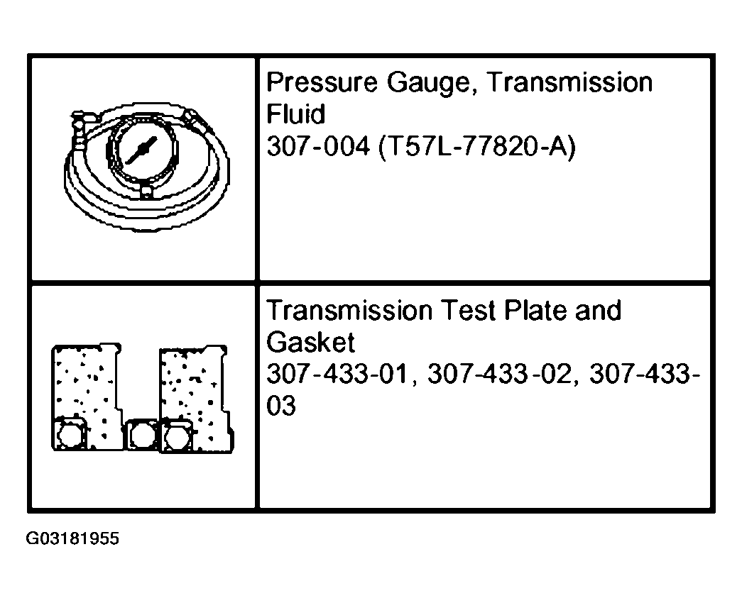 G03181955