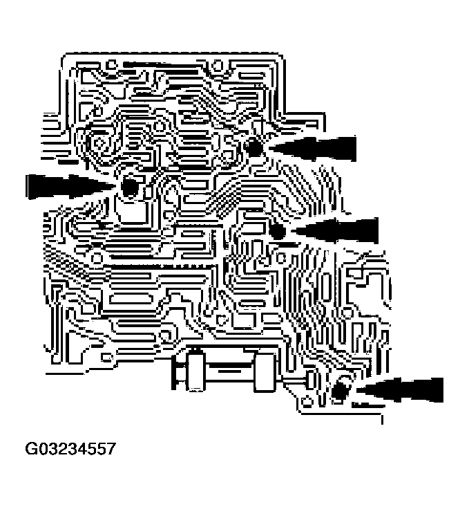 G03234557
