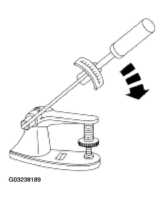 G03238189