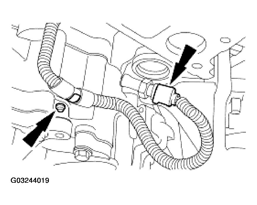 G03244019