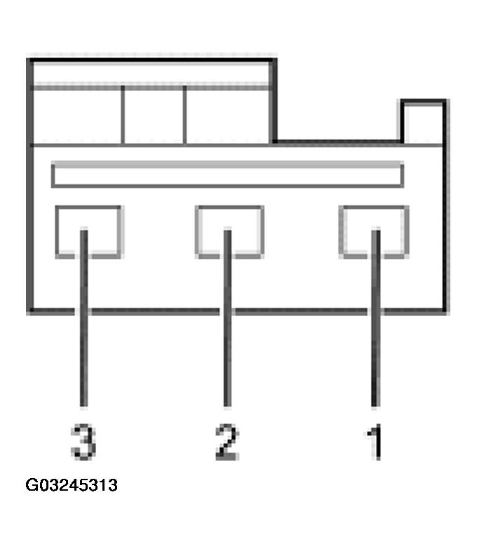 G03245313