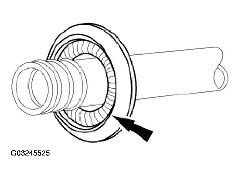 G03245525