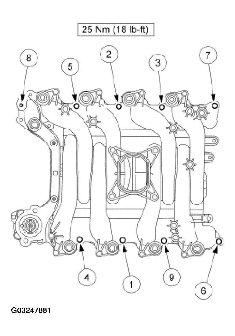 G03247881