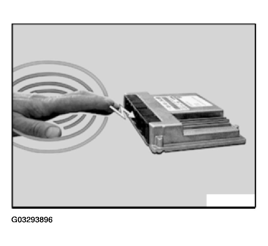 G03293896