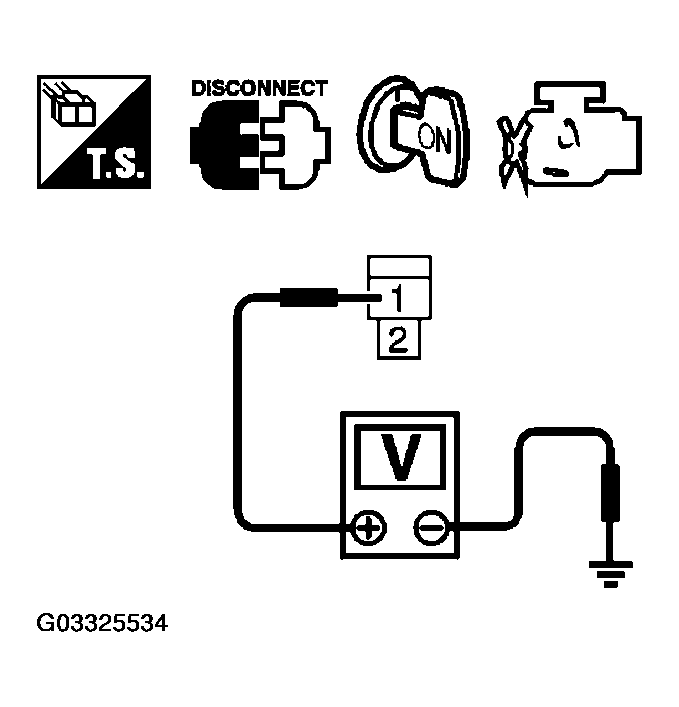 G03325534