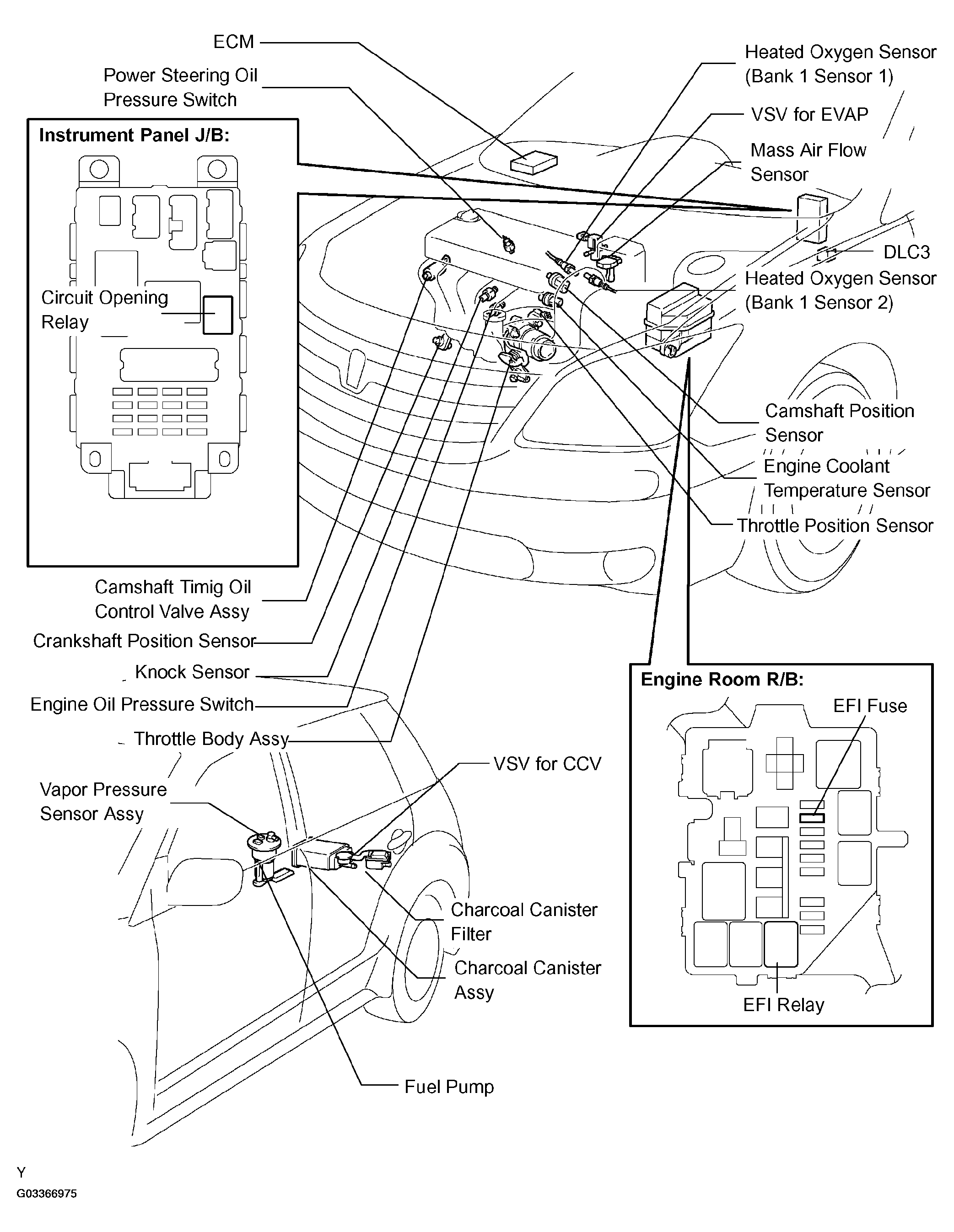 G03366975