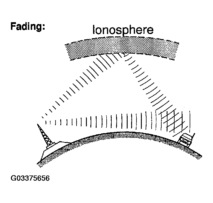 G03375656
