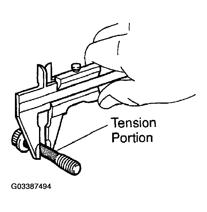 G03387494