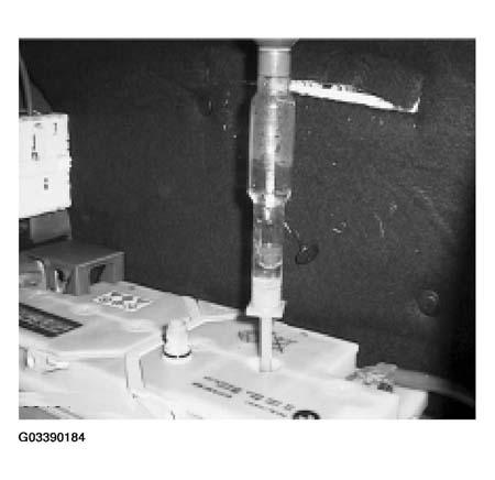 G03390184