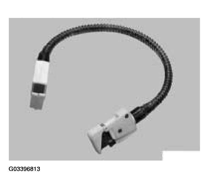G03396813