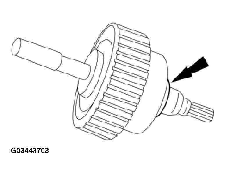 G03443703