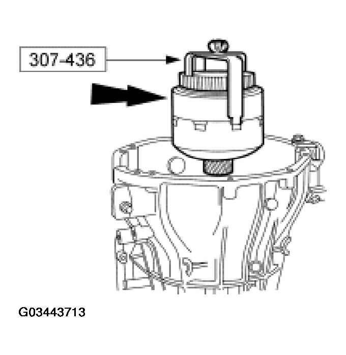 G03443713